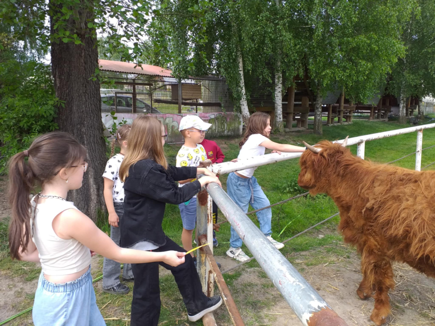 Wycieczka do Mini ZOO